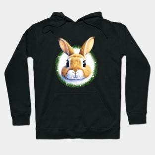 Christmas bunny Hoodie